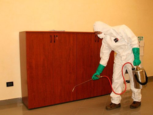 disinfestazione-05